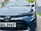 Toyota Corolla WXB 2023