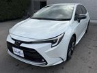 Toyota Corolla WXB 2024