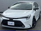 Toyota Corolla WxB 2024