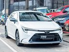 Toyota Corolla WXB 2024