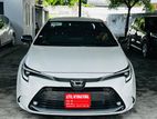Toyota Corolla WXB Highest Grade 2023