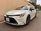 Toyota Corolla WXB Highest Grade 2023