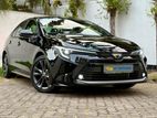 Toyota Corolla WXB LIMITED EDITION 2024