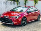 Toyota Corolla WXB Limited Edition 2024