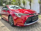 Toyota Corolla WXB Limited Edition 2024