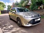 Toyota Hybrid Axio Car For Rent