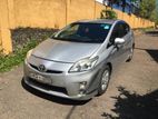 Toyota Hybrid Prius Car For Rent🚗🚗