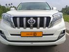 Toyota Land Cruiser Prado Sunroof sounsystem 2014