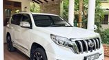 Toyota Land Cruiser Prado TRJ 150 2010