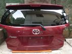 Toyota Passo Dicky door