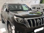 Toyota Prado 150 for Rent