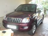 Toyota Prado for Rent