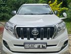 Toyota Prado TX for Rent
