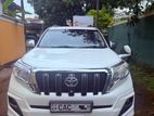 Toyota Prado TX for Rent