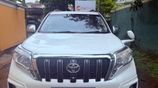 Toyota Prado TX for Rent