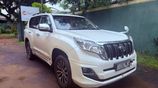 Toyota Prado TX for Rent