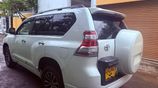 Toyota Prado TX for Rent