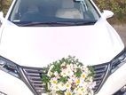 Toyota Premio Car for Wedding Hire and Rent
