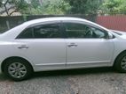 Toyota Premio for Rent