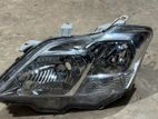 Toyota Premio Head Light