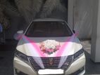 Toyota Premio New Face Car for Rent and Wedding Hire