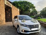 Toyota Premio New Face Car for Rent and Wedding Hirer