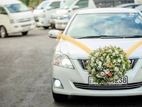 Toyota Premio Wedding Car for Hire