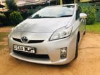 Toyota Prius Car for Rent