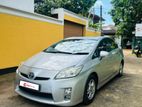 Toyota Prius Car for Rent
