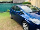 Toyota Prius car for rent