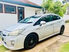 Toyota Prius Car for Rent