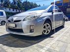 Toyota Prius Car for Rent