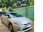 Toyota Prius for Rent