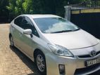 Toyota Prius for Rent