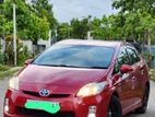 Toyota Prius for Rent