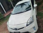 Toyota Prius for Rent