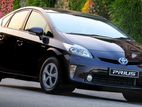 Toyota Prius for Rent