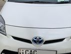 Toyota Prius for Rent