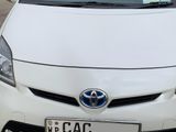 Toyota Prius for Rent