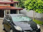 Toyota Prius for Rent