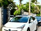 Toyota Prius Car for Rent