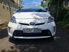 Toyota Prius Hybrid Car for Rent