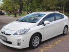 Toyota Prius Hybrid Car For Rent