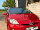 Toyota Prius Hybrid for Rent