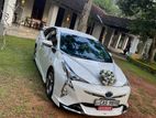 Toyota Prius Wedding Car for Hire