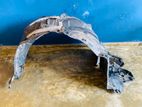 TOYOTA PRIUS ZVW30 INNER GUARD FOR SALE 🇯🇵