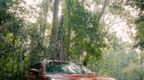 Toyota Taisor V Grade 2026