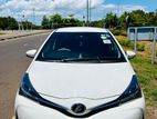 Toyota Vitz 2016