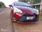 Toyota Vitz 3 edition 2019