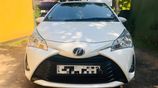 Toyota Vitz Car for Rent